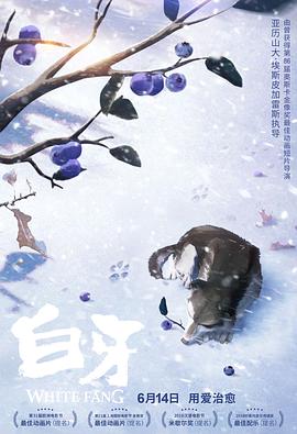 白牙国语封面图
