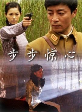 步步惊心2010封面图