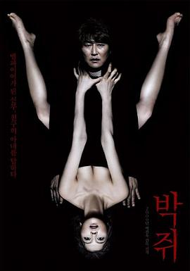 蝙蝠2009封面图