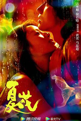 夏花2023封面图