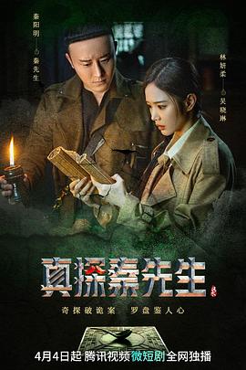 真探秦先生封面图