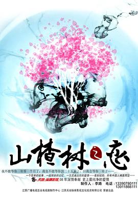 山楂树之恋2011封面图