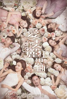 爱美丽狂想曲粤配封面图