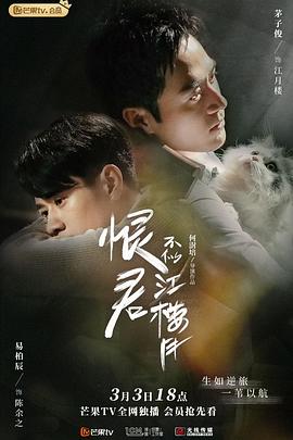 恨君不似江楼月封面图