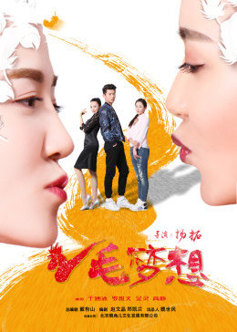 鸡毛梦想封面图