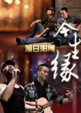 今生缘海报图