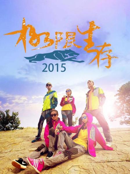 极限生存2015海报图