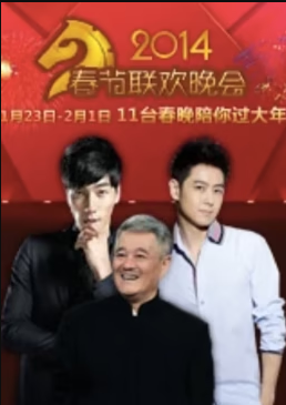 历年卫视春晚海报图