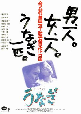 鳗鱼封面图