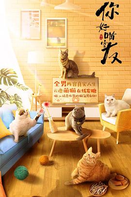 你好喵室友海报图