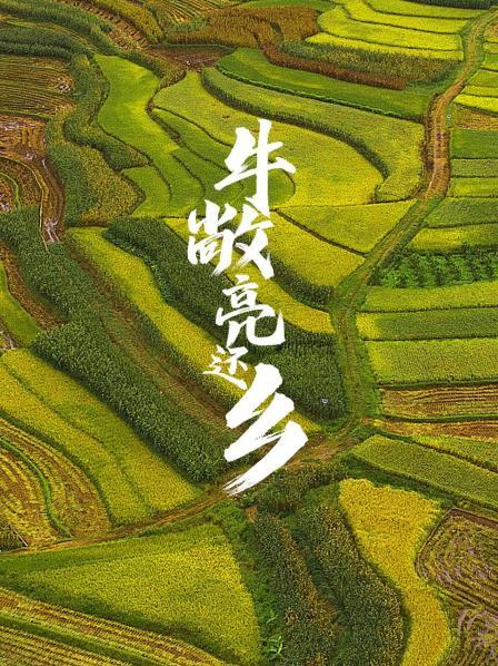 牛敞亮还乡海报图
