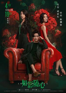 如影随心封面图
