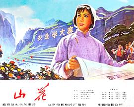 山花封面图