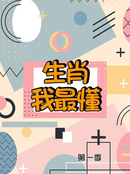 生肖我最懂第一季海报图