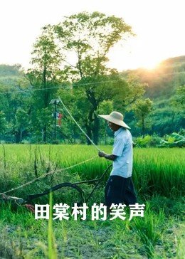 田棠村的笑声海报图