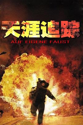 天涯追踪海报图