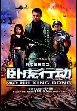 卧虎行动海报图