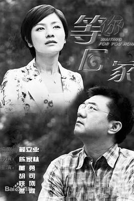 我在等你回家封面图
