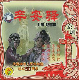 辛安驿海报图