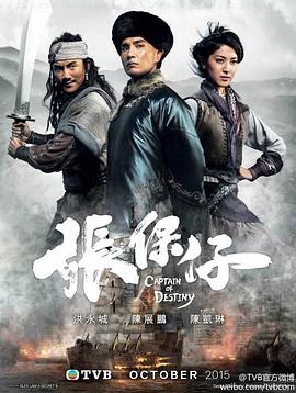 张保仔封面图