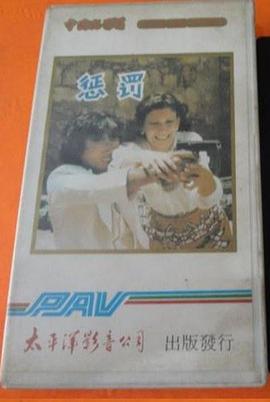 惩罚1980封面图