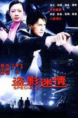 盗影谜情封面图