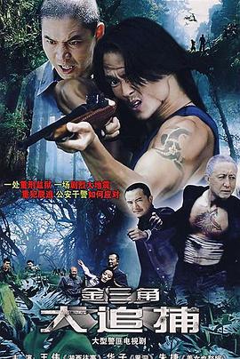 大追捕2008封面图