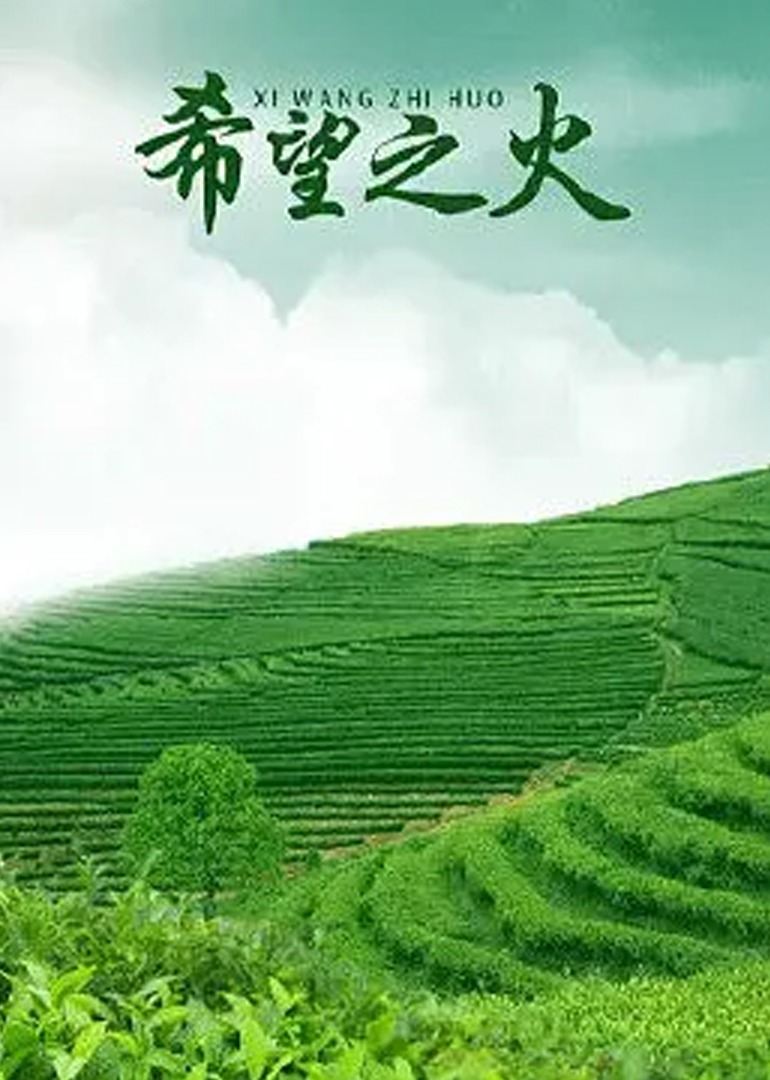 希望之火封面图
