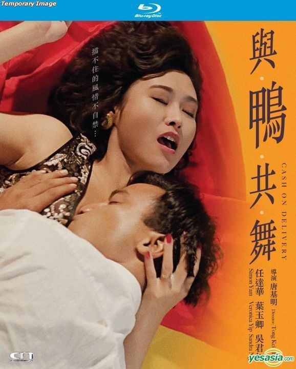 与鸭共舞封面图