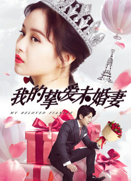我的挚爱未婚妻海报图