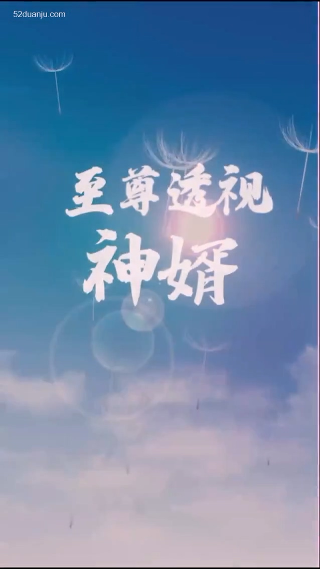 至尊透视神婿合集版海报图