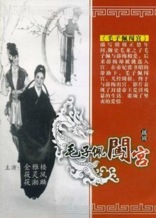 毛子佩闯宫海报图