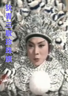 狄青三取珍珠旗海报图