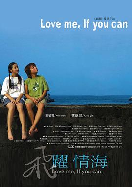 飞跃情海2004封面图