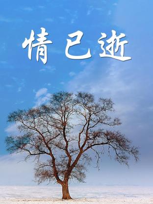 情已逝封面图