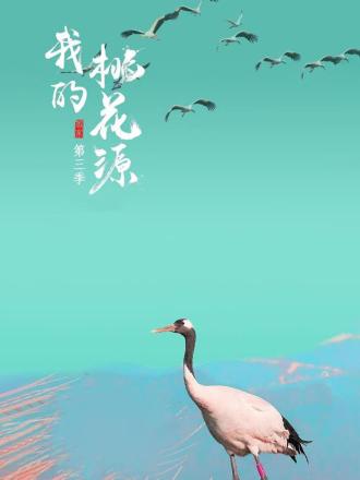 我的桃花源第三季海报图