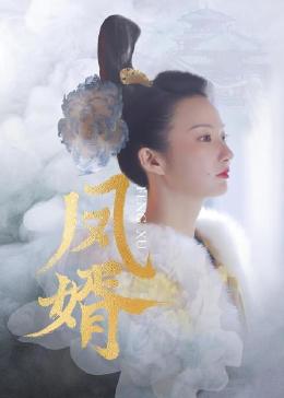 凤婿海报图