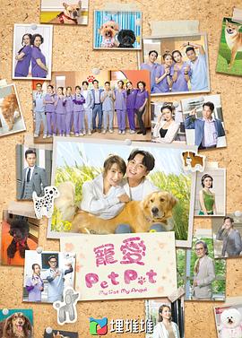 宠爱PetPet粤语封面图