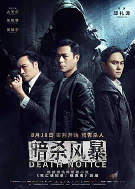 暗杀风暴封面图