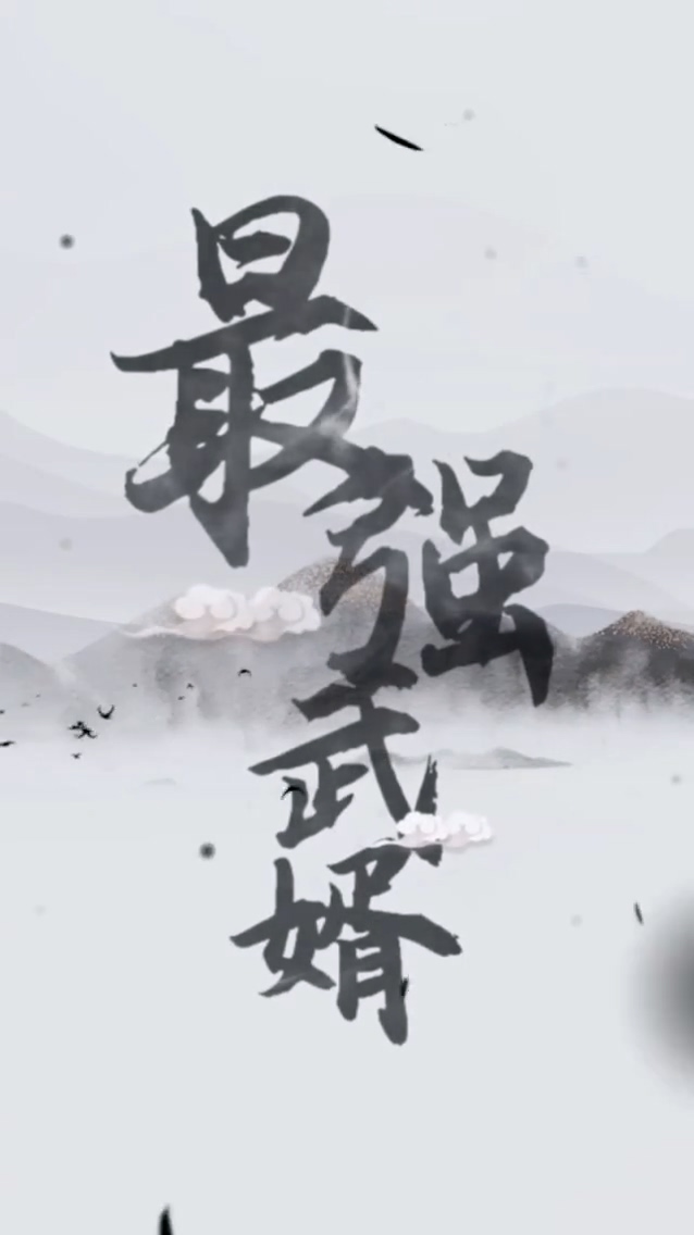 最强武婿海报图