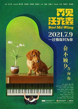 再见汪先森封面图