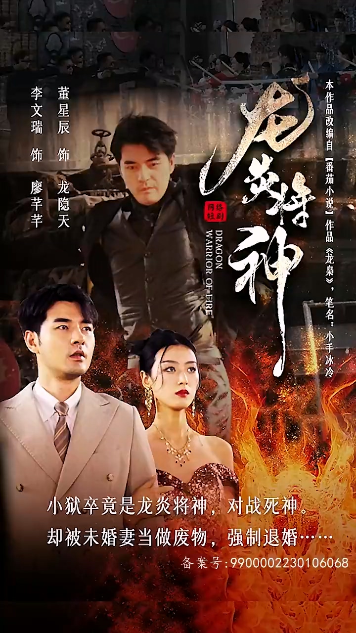 龙炎将神海报图
