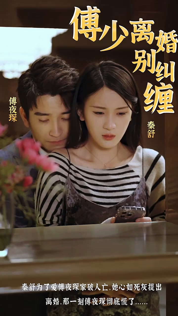 傅少，离婚别纠缠海报图