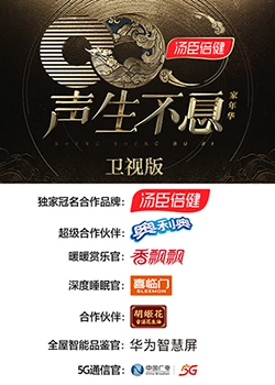 声生不息家年华卫视封面图