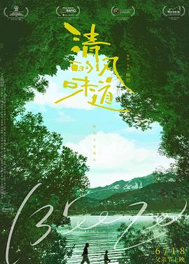 清风的味道封面图