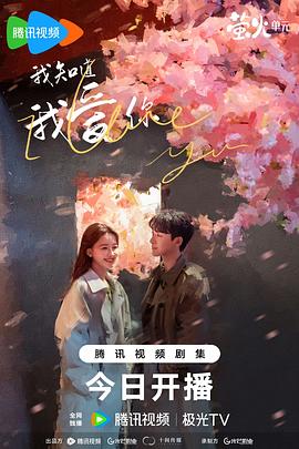我知道我爱你海报图