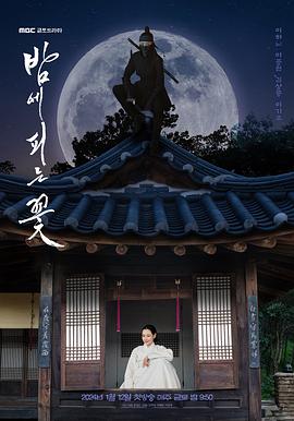 夜晚开的花封面图