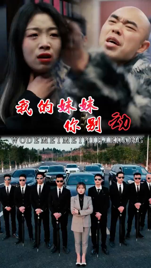 我的妹妹你别动海报图