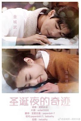 圣诞夜的奇迹1995封面图