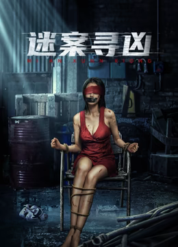 迷案寻凶海报图